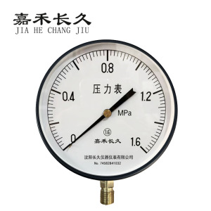 嘉禾长久 压力表检测型 Y200 块