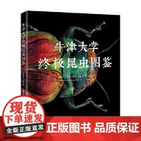 牛津大学终极昆虫图鉴 列文· 比斯 著 科普读物