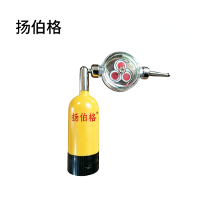 扬伯格 电笔头 XY-BTL 个