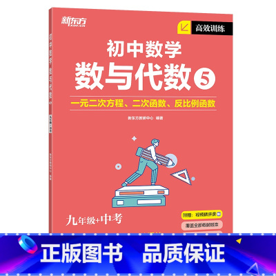 高效训练初中数学 数与代数5 九年级/初中三年级 [正版]2023版初中英语词汇词根+联想记忆法 乱序便携版 绿宝书 俞