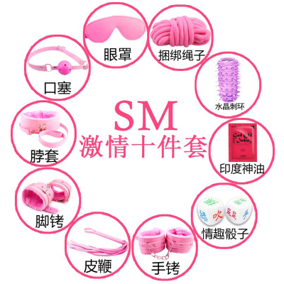 欢乐小鸟情趣用品SM刑具玩具女用成人眼罩口塞鞭子捆绑束缚另类性蜡烛胶带10件套粉色+捆绑视频口塞口枷