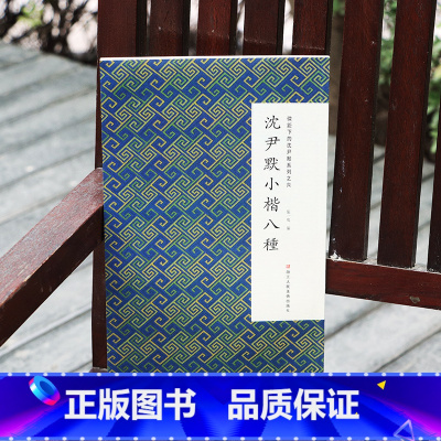 [正版]沈尹默小楷八种 微距下的沈尹默系列之六 临韩愈石鼓歌 小楷毛笔笔画书法临摹本