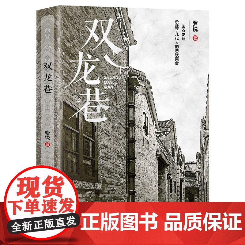 双龙巷 罗锐著 中国工人出版社店 正版新书 改革开放浪潮背景下的悲欢离合