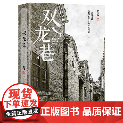 双龙巷 罗锐著 中国工人出版社店 正版新书 改革开放浪潮背景下的悲欢离合