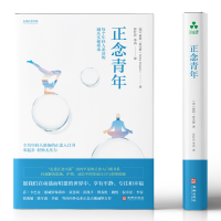 音像正念青年(美) 霍莉·罗杰斯著