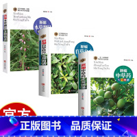 [3册]中药实用图谱 [正版]中草药中药材彩色图谱3册 百草良方中药材药方养生中医养生保健本草纲目中医学入门