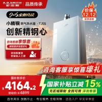 史密斯佳尼特[小精钢TJS5]16升增压零冷水燃气热水器 国家补贴 JSQ31-TJS5 安全守护 持久恒温 新品