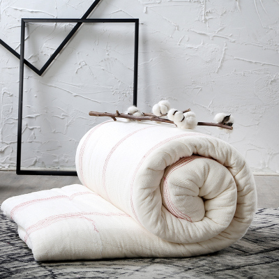 J.H.Longess棉花被子冬被棉胎手工定位春秋被新疆长绒全棉围网红线棉被芯垫被褥子