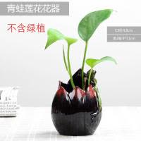 创意绿萝水培小花瓶陶瓷容器 迷你水养花盆植物器皿 客厅圆形摆件 三维工匠 青蛙莲花花器 小