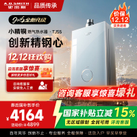 史密斯佳尼特[小精钢TJS5]16升增压零冷水燃气热水器 国家补贴 JSQ31-TJS5 安全守护 持久恒温 新品