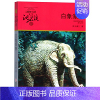 白象家族 [正版]雄狮去流浪沈石溪小学四年级五年级全集全套书浙江少年儿童出版社非注音版完整版动物小说大王品藏书系生课外阅