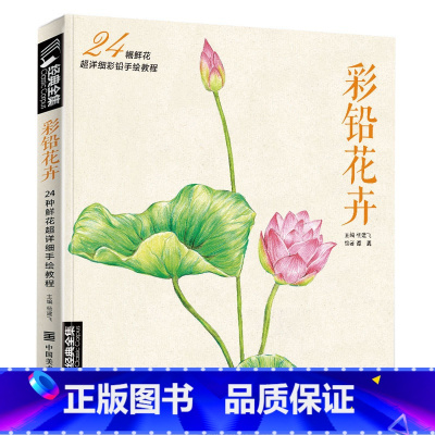 [正版]彩色铅笔花卉绘画入门教程书籍临摹零基础初学者飞成人温情乐鸟sh