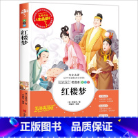 [正版]红楼梦小学生版原著白话文青少年版带彩图注解五六年级上下册必读课外书学生无障碍阅读中国古典文学四大名著完整儿童版