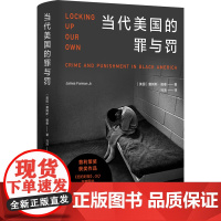 当代美国的罪与罚詹姆斯·福曼普利策奖获奖作品外国热门小说入选纽约时报华尔街日报正版书籍豆瓣高分图书译林出版社