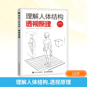 理解人体结构 透视原理