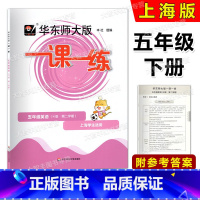 英语 五年级下 [正版]2024华东师大版一课一练 英语N版 五年级第二学期/5年级下 上海牛津英语配套教辅 华东师范大