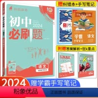 [人教版]语文 七年级下 [正版]七下语文2024新版初中必刷题七年级下册语文人教版RJ 初一语文同步练习册 七年级语文