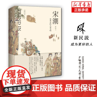 宋潮:变革中的大宋文明 吴钩著 广西师大出版社 宋朝文明 风雅宋宋史 历史文学类书籍 吴钩说宋书系正版