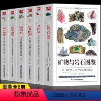 [正版]6册 矿物与岩石图鉴 鸟图鉴 名犬图鉴 猫图鉴 野菜图解 野花图鉴 收藏爱好者鉴别指南 鸟类行为矿石图鉴 野外
