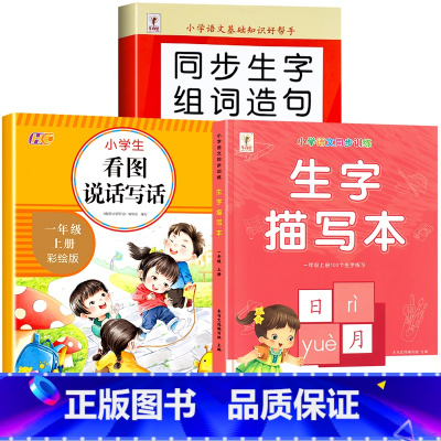 [上册]生字组词造句+生字描写本+看图写话 小学一年级 [正版]一年级上册下册生字组词造句阅读本语文基础知识大全汉字笔画