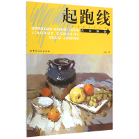 音像色彩静物/起跑线美术基础教学丛书王磊