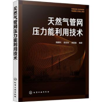 音像天然气管网压力能利用技术高顺利,徐文东,李夏喜编著