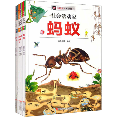 [M]小昆虫·大探秘(全8册) 神马卡通 绘 -9787572800238