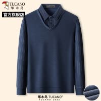 啄木鸟2025春季新款男士长袖POLO衫中老年爸爸装休闲假两件上衣C