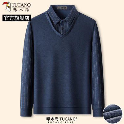 啄木鸟2025春季新款男士长袖POLO衫中老年爸爸装休闲假两件上衣C