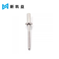 新凯益 304不锈钢封闭式抽芯铆钉 M6.4*13 个