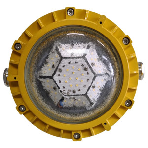 光大特照 EBF605(L)-48 48WAC220V IP66 ExdIICT6Gb抗震防爆平台灯(计价单位:盏)黄色