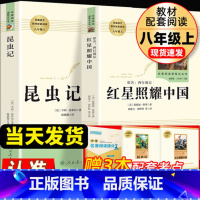 八年级上;昆虫记+红星照耀中国 人教版 [正版]红星照耀中国 昆虫记原著完整版法布尔八年级上册课外阅读书籍必读名著人教版