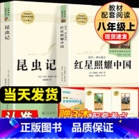 八年级上;昆虫记+红星照耀中国 人教版 [正版]红星照耀中国 昆虫记原著完整版法布尔八年级上册课外阅读书籍必读名著人教版