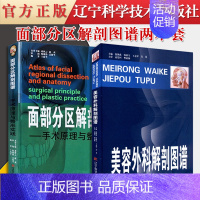[正版]书籍 两本套 面部分区解剖图谱:手术原理与实践+美容外科解剖图解 口腔颌面外科学 韩国医学 辽宁科学技术