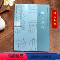 峄山刻石 [正版]峄山刻石 经典碑帖导学教程 李斯峄山碑篆书书法毛笔字帖 附完整碑文 笔画部首结构讲解 苏州大学出版社