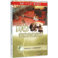 正版新书]野猪养殖关键技术杜忍让 主编9787554211649