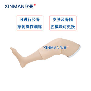 欣曼科教 胫骨穿刺模拟训练模块 骨髓腔穿刺输液训练模型XM-GC4