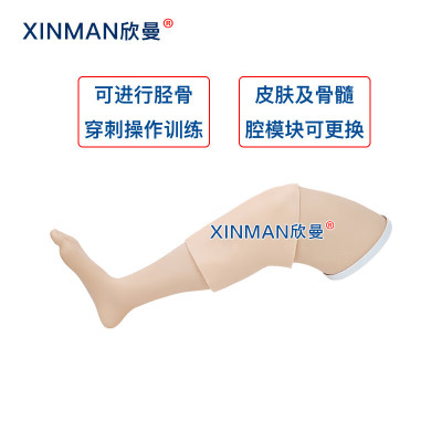 欣曼科教 胫骨穿刺模拟训练模块 骨髓腔穿刺输液训练模型XM-GC4