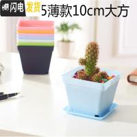 三维工匠小黑方小方大黑方大彩方多肉植物塑料花盆叶插育苗配搭托盘 10cm混色60个 盆+底托花盆容器