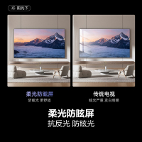 海信100E5N Pro 100英寸Mini LED DeepSeek AI电视机 以旧换新补贴