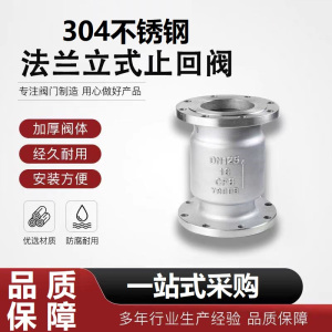 中锦科技 不锈钢旋启式止回阀 定制 台
