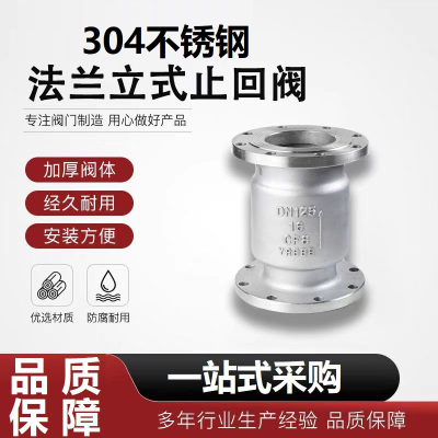 中锦科技 不锈钢旋启式止回阀 定制 台