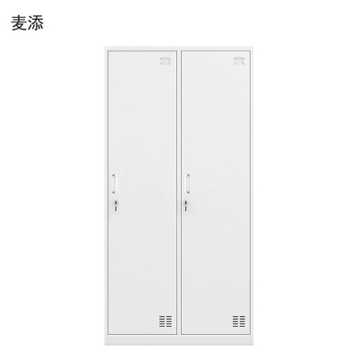 麦添 钢制二门更衣柜 GYG002个