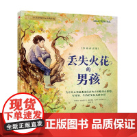 丢失火花的男孩 6-9岁 玛吉·奥法瑞尔 著 儿童文学