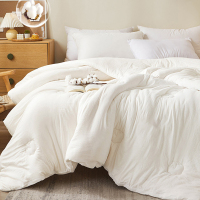 莱依瑾LYEEGIN 棉被 新疆棉 150*200cm6斤 张