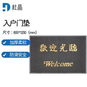 杜晶 DJ-DT249 入户门垫 安全防滑脚垫 丝圈塑料地垫PVC地板 灰色0.8米宽
