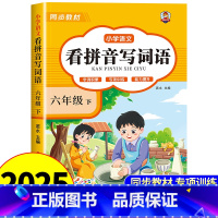 [六年级下册]看拼音写词语 小学六年级 [正版]看拼音写词语六年级下册 语文小学注音生字拼音拼读字词6年级上汉字专项强化
