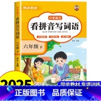 [六年级下册]看拼音写词语 小学六年级 [正版]看拼音写词语六年级下册 语文小学注音生字拼音拼读字词6年级上汉字专项强化