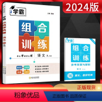 语文 九年级/初中三年级 [正版]2024版学霸组合训练九年级语文通用版学霸九年级语文同步训练初三语文练习册学霸题中题九