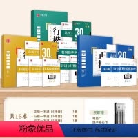 [15本大通关]行楷+楷书+行书一本通(赠笔) [正版]行楷字帖成人练字吴玉生行楷一本通字帖练字成年男钢笔字帖控笔训练行
